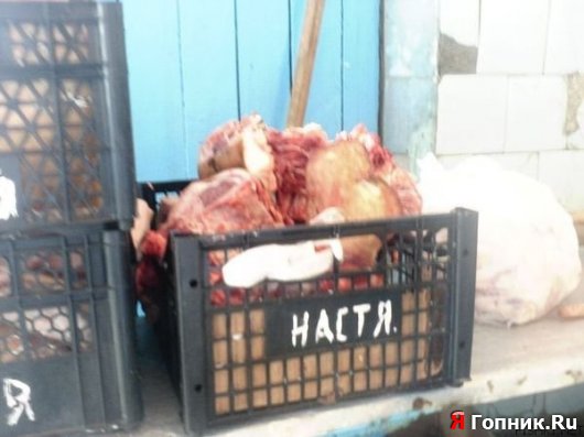 ����� �����...