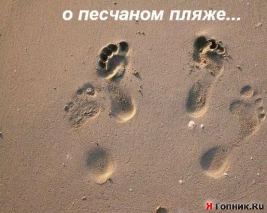  ))
