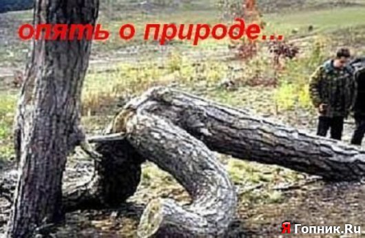  ))