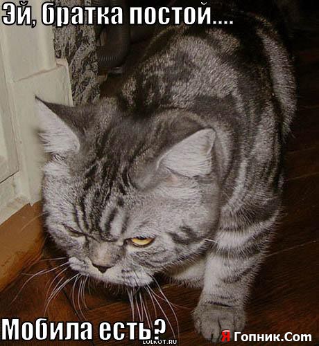   xD