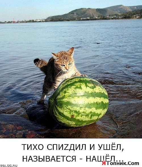  )