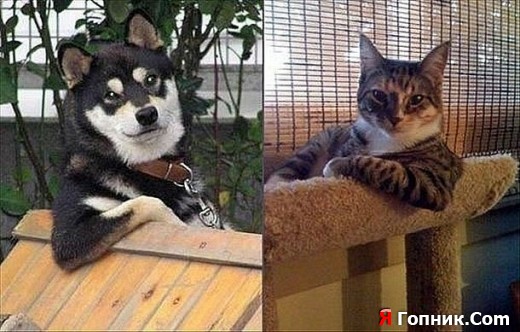 Ровные или базарить надо? Ровные или базарить надо?