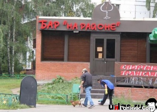 Как вам бар? Как вам бар?