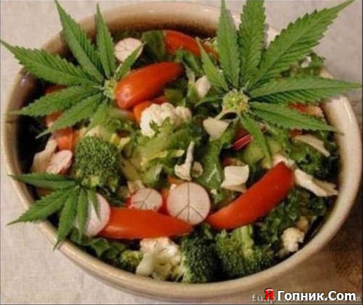 ������������ ������