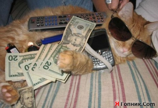 УСПЕХ ИЛИ ЕЩЕ В ПУТИ? УСПЕХ ИЛИ ЕЩЕ В ПУТИ?